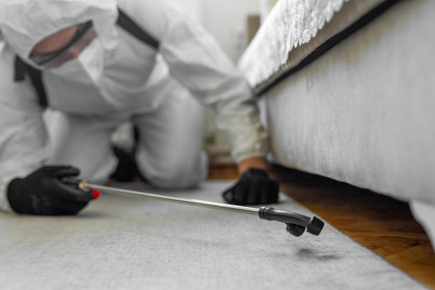 Professional Termite Control technician working in Burnet, TX