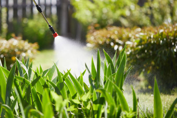 24/7 Emergency Termite Control experts in Burnet, TX