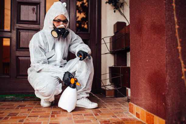 Reliable Termite Control contractor in Burnet, TX by Nex Pest Control